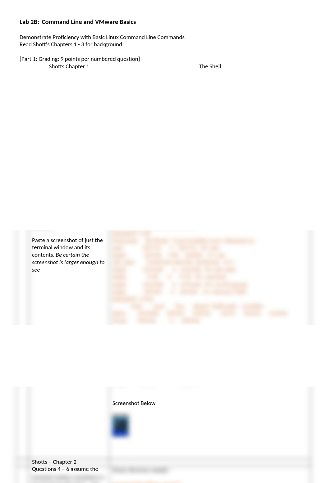 Lab 2B - Command Line Basics & VMware_R3.docx_d0xtd9xz1ts_page1