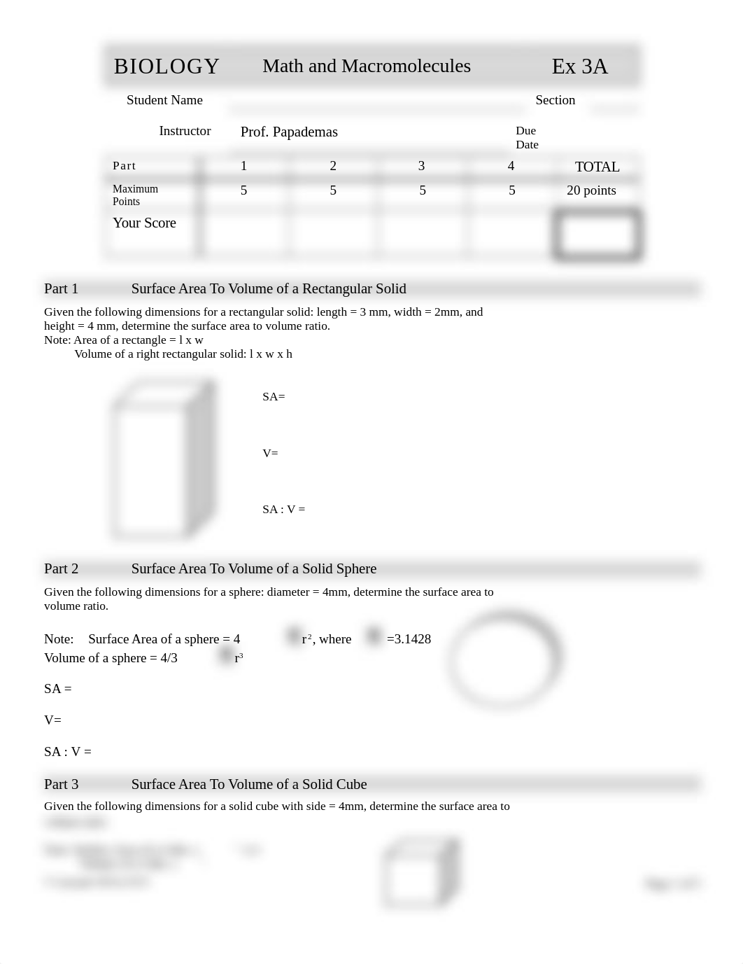 BIOLOGY Exercise 03a Surface Area   of a Cell Macromolecules.doc_d0xykz3mx8x_page1