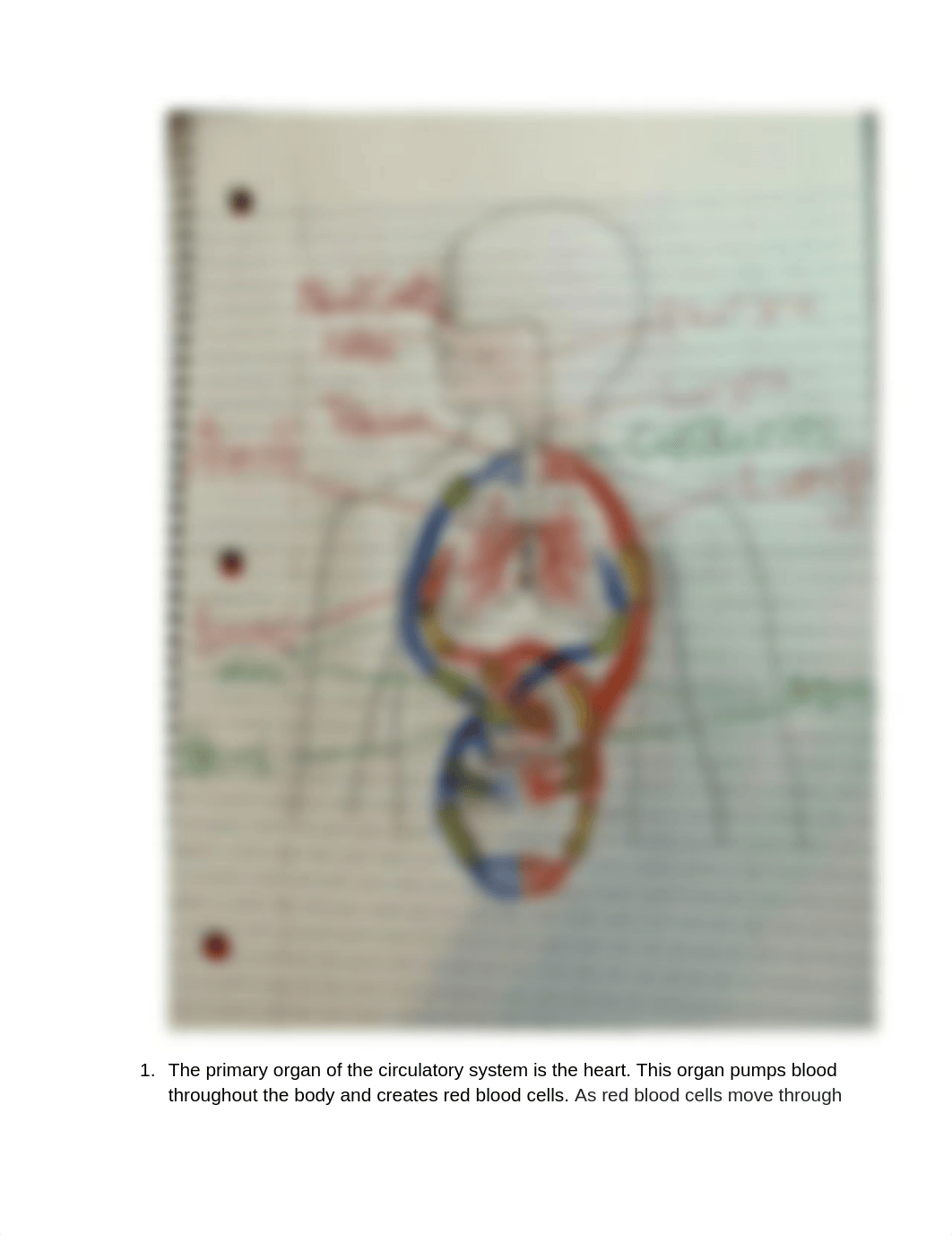 Jordan Bautista Project_ Modeling Organ System Interactions (1) (1).docx_d0xylropx3x_page1