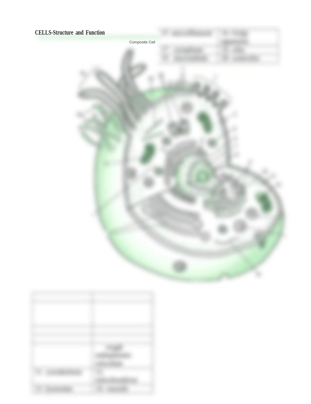 BIO 107 - Cell Diagram.docx_d0y453qm8fl_page1