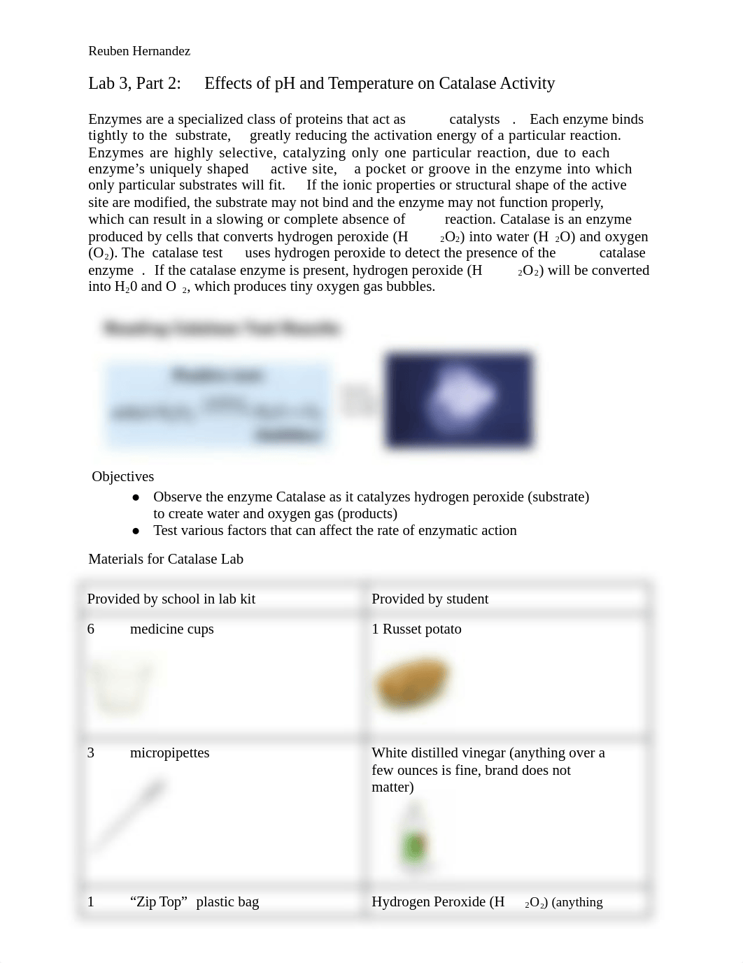 BIO 181 Catalase Lab RH.docx_d0y7jhx11m7_page1