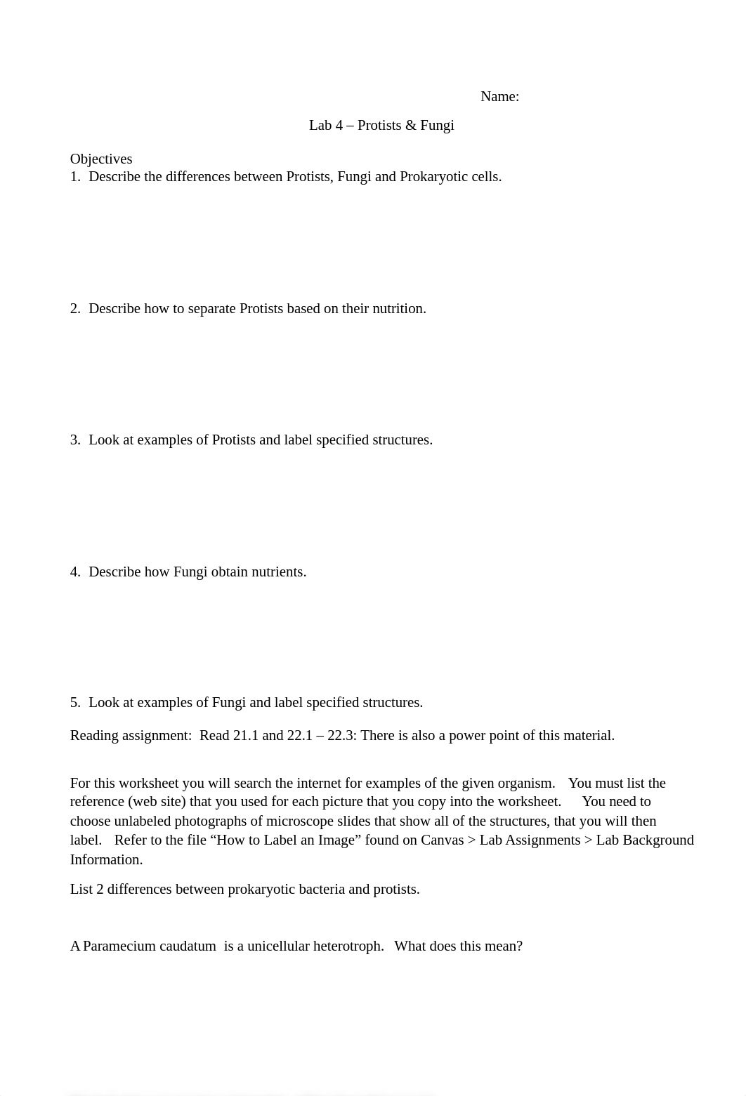 Lab 4 Worksheet - Protists & Fungi (Online).docx_d0y83bqlnaq_page1