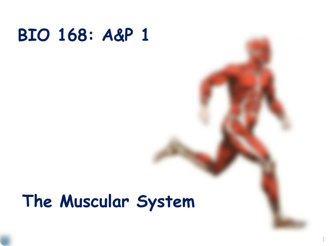 168-09 Muscle ID  Actions FA17.pdf_d0yt5wbdt6b_page1