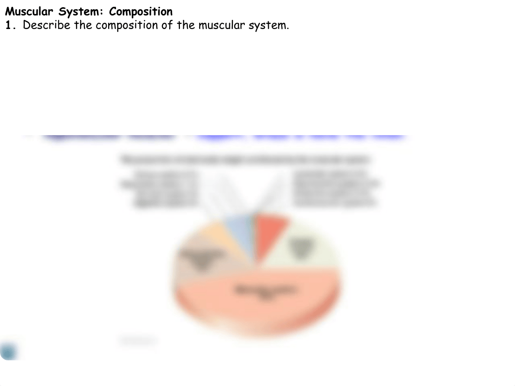 168-09 Muscle ID  Actions FA17.pdf_d0yt5wbdt6b_page2