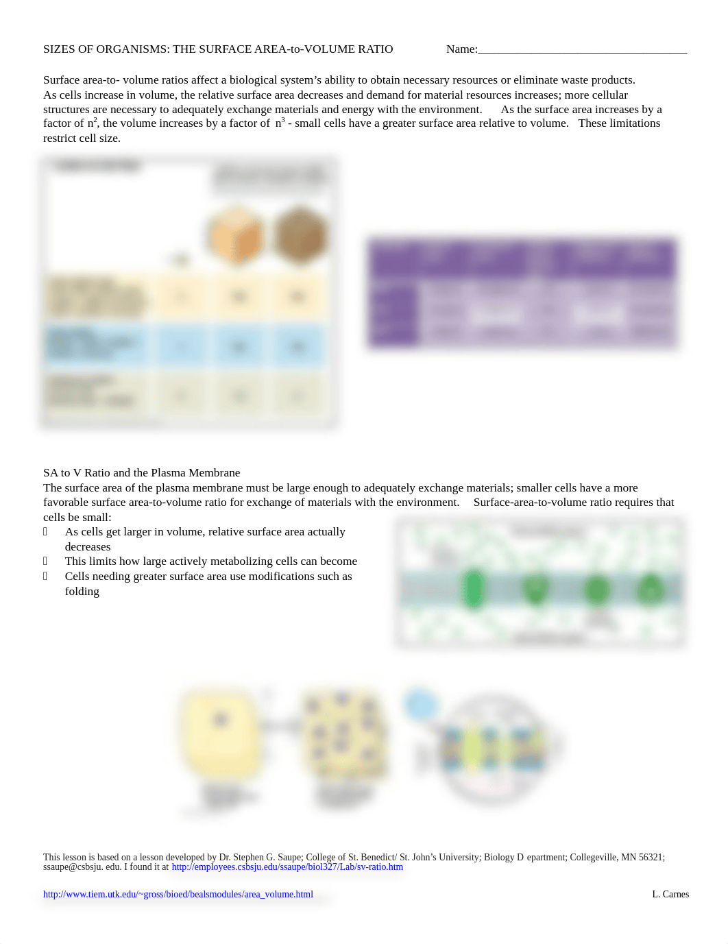 surface-area-to-volume-ratio-practice-problems1.pdf_d0z9mc3wuw7_page1