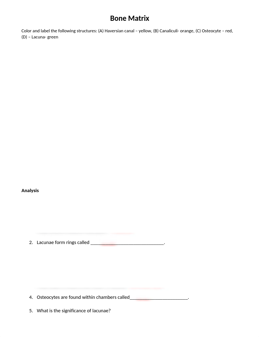 bone_matrix_answer_key (2).docx_d0zbamqhbrn_page1