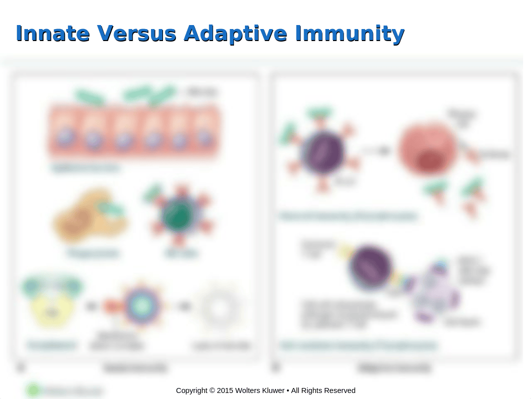 Chapter 11 - Innate and Adaptive Immunity.ppt_d0zdtp75ngf_page2