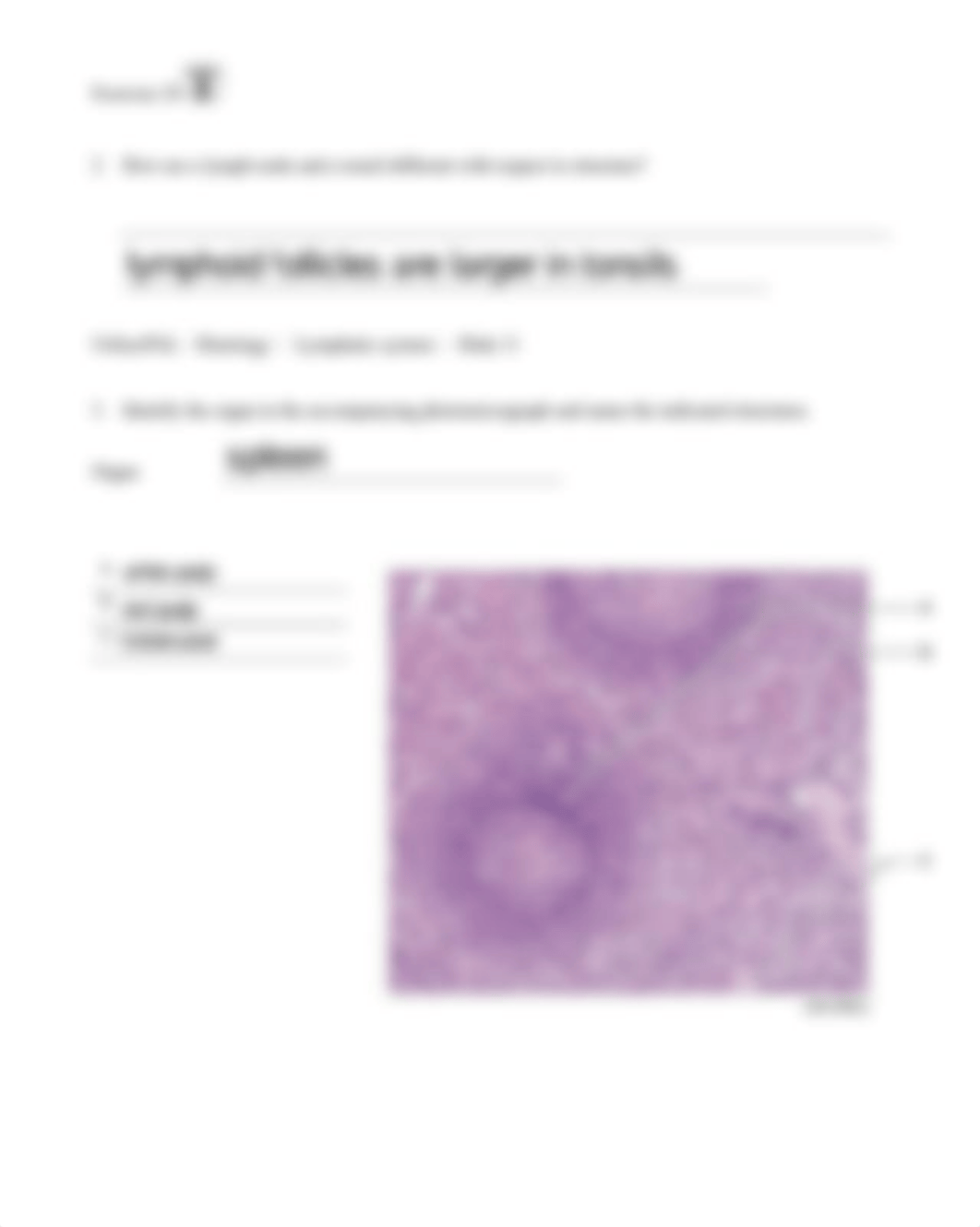 11. Unit 11 laboratory exercise 24 Sims.pdf_d0zizzx29bp_page3