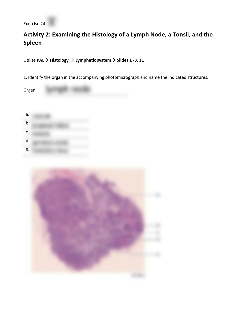 11. Unit 11 laboratory exercise 24 Sims.pdf_d0zizzx29bp_page2