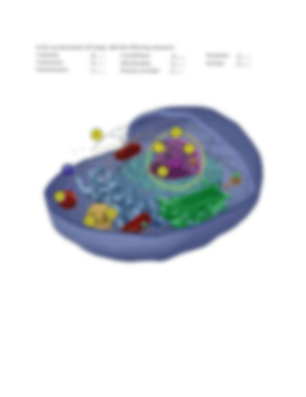 bio_learn_lab_activities_prokaryotic_and_eukaryotic_cells_full_student (1).docx_d0znuear0ed_page3