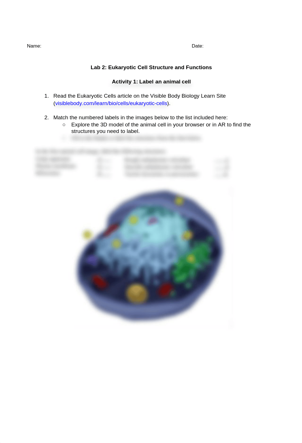 bio_learn_lab_activities_prokaryotic_and_eukaryotic_cells_full_student (1).docx_d0znuear0ed_page2