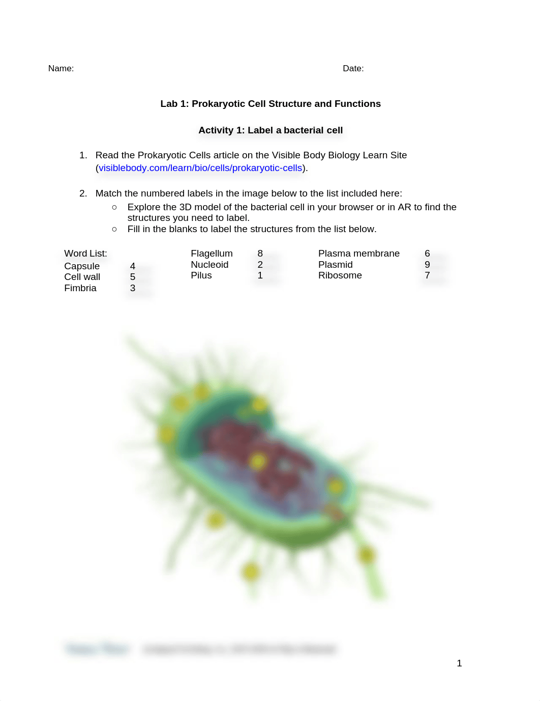 bio_learn_lab_activities_prokaryotic_and_eukaryotic_cells_full_student (1).docx_d0znuear0ed_page1