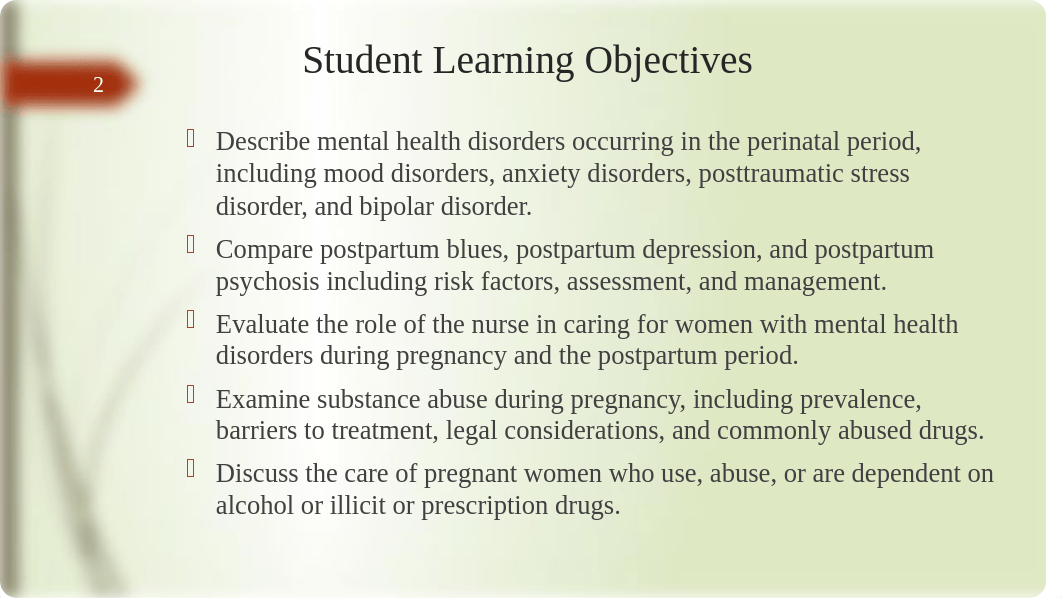 Chapter 11-2 Mental Health Disorders and Substance Abuse.pptx_d0znyfpxp61_page2