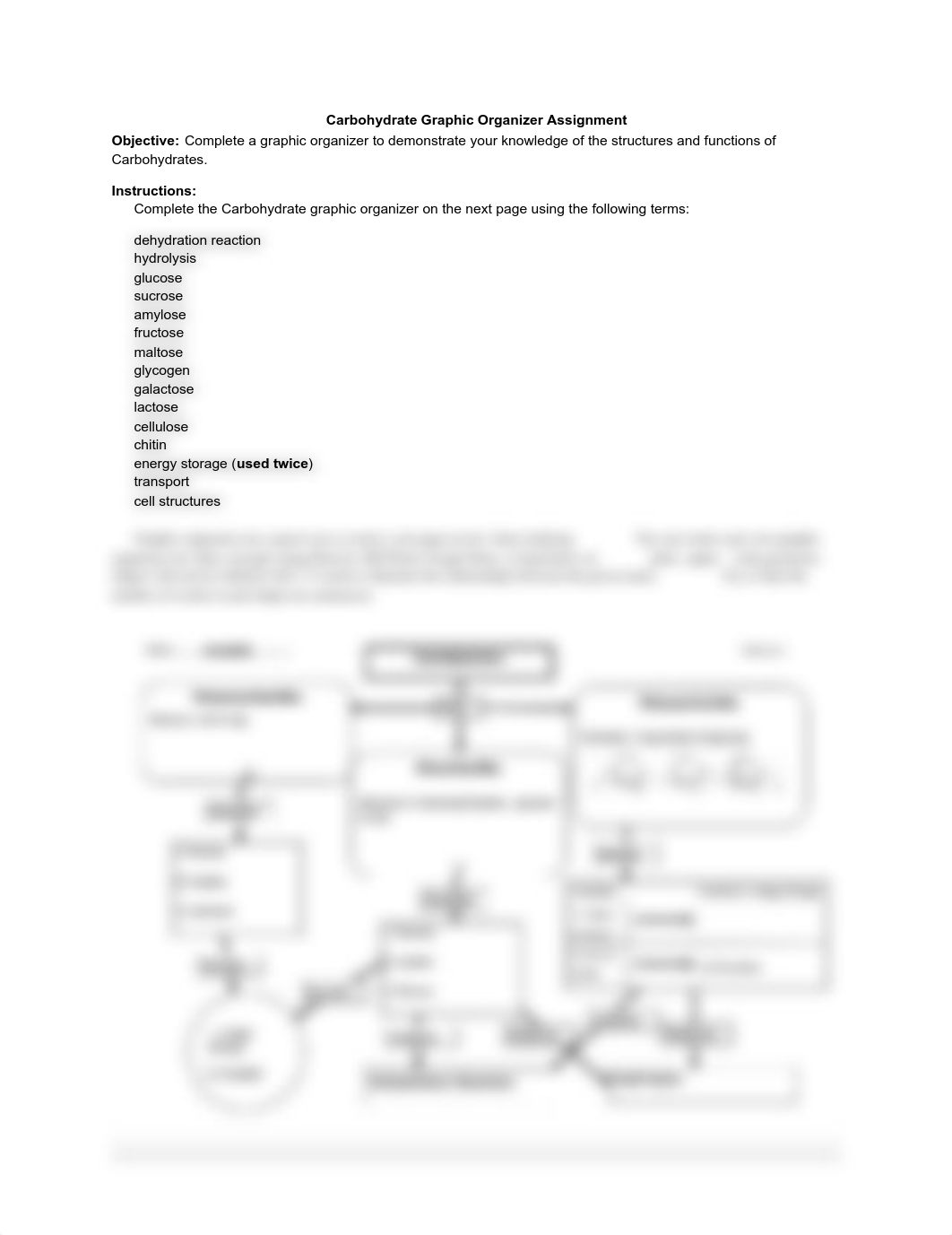 CHO Graphic Organizer - Kyla Smith.pdf_d0zrw8ptm67_page1