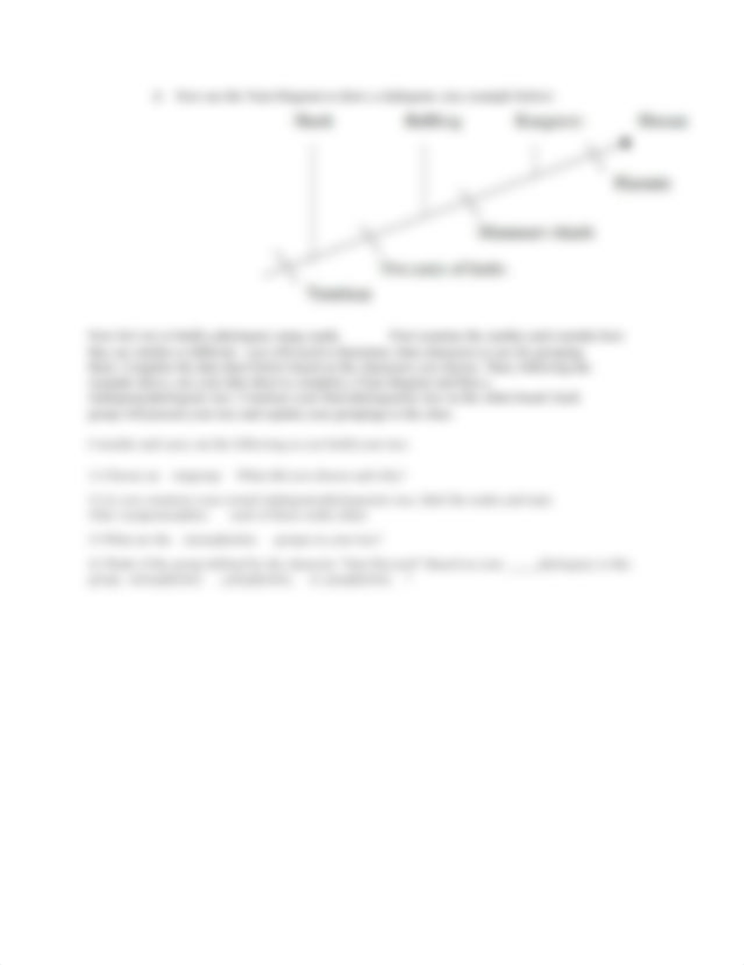 Candy Phylogeny Activity (1).docx_d0zubvw5f6m_page2