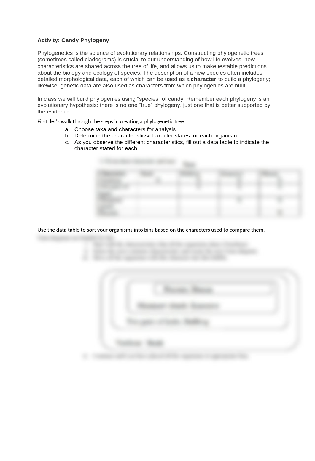 Candy Phylogeny Activity (1).docx_d0zubvw5f6m_page1