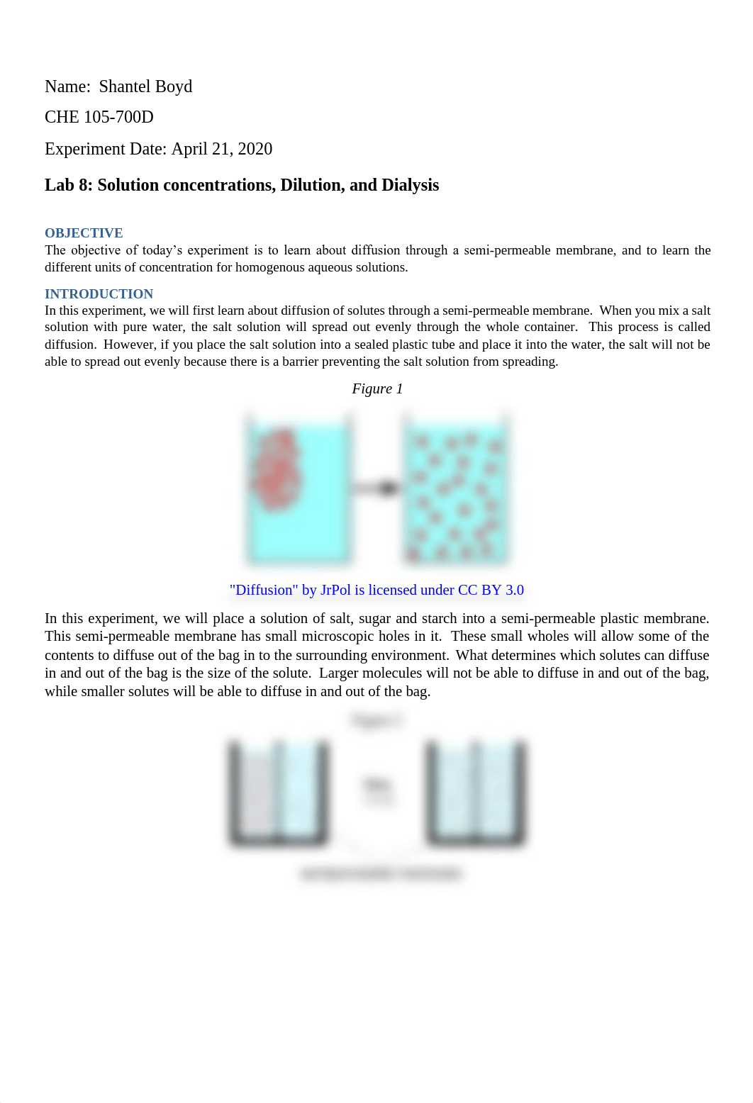 LAB 8 (1).pdf_d0zvj7ckjy5_page1