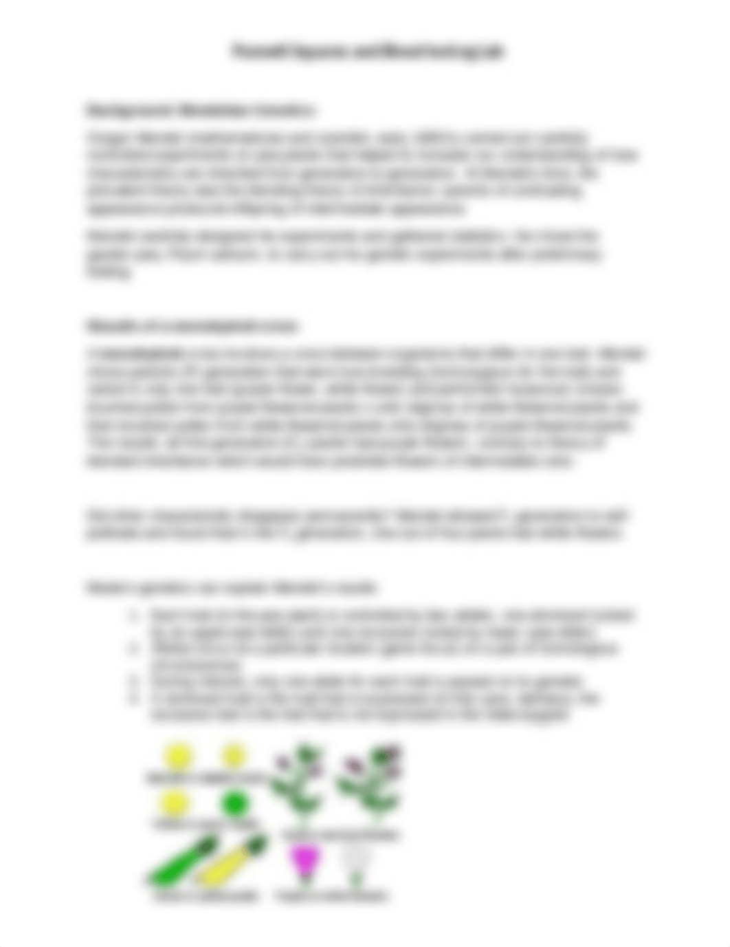 7 Punnett Squares and Blood testing Lab Photo update-2.docx_d0zz946xqa5_page1