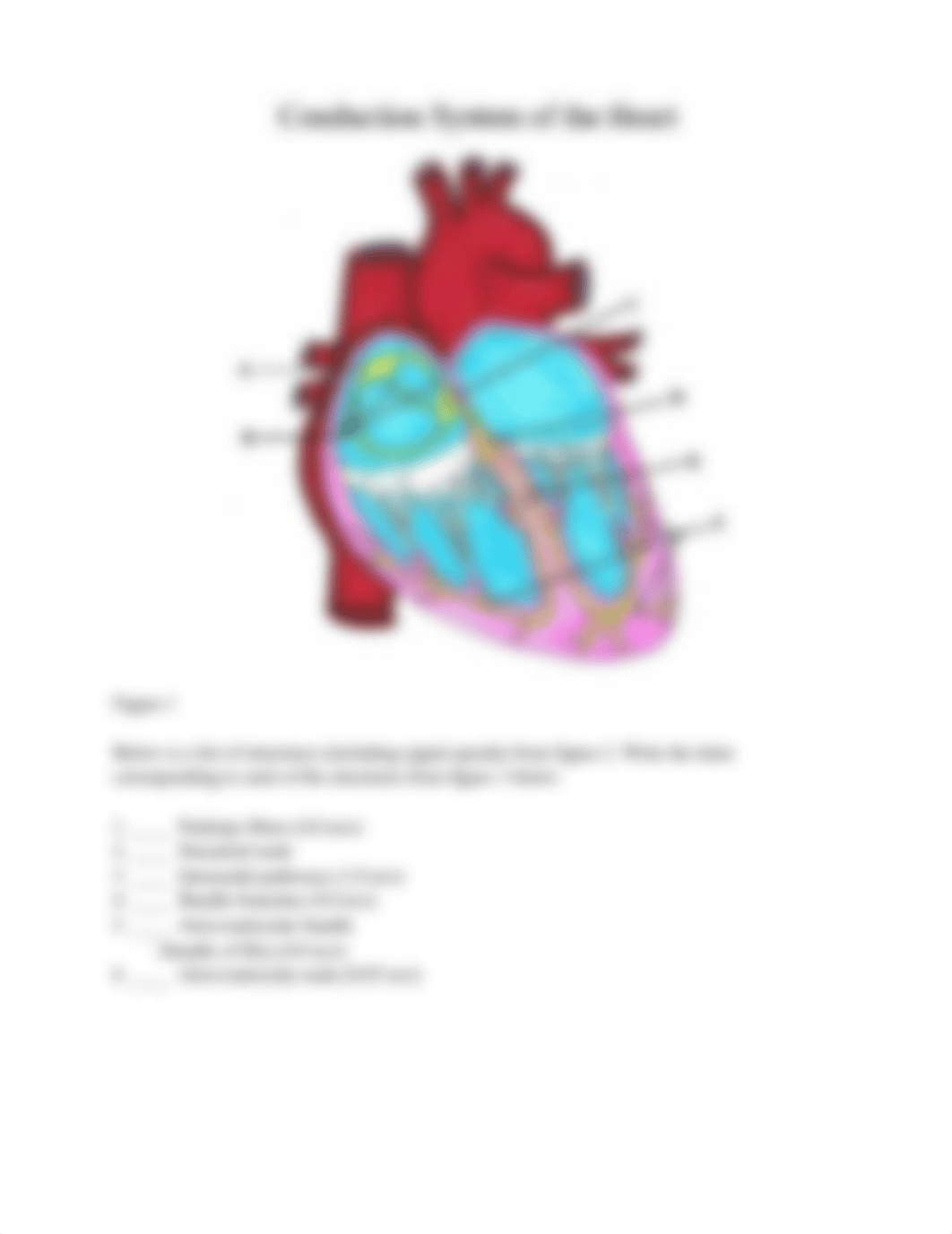 conduct system of heart.doc_d0zzrebvu51_page2