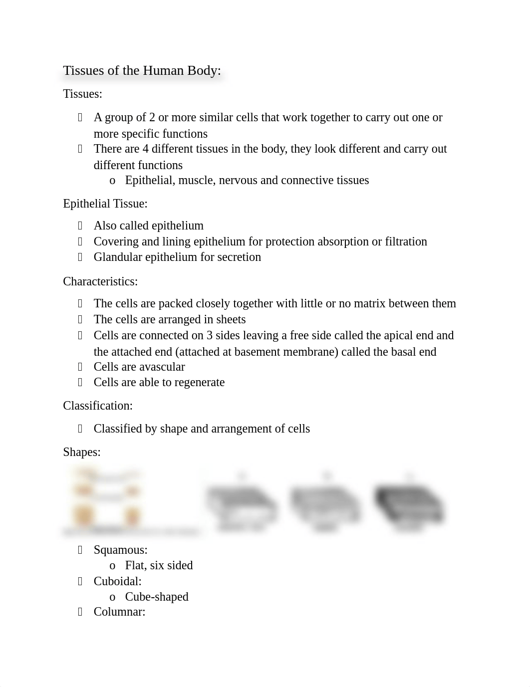 Tissues of the Human Body.docx_d106ch204z9_page1