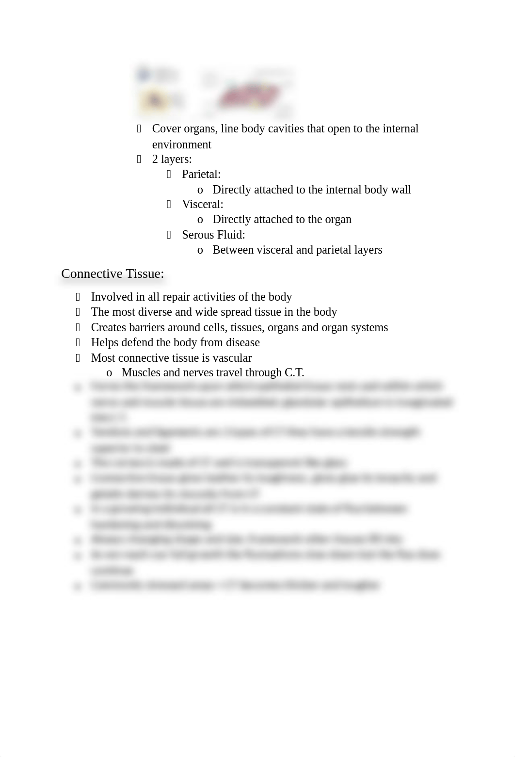 Tissues of the Human Body.docx_d106ch204z9_page5