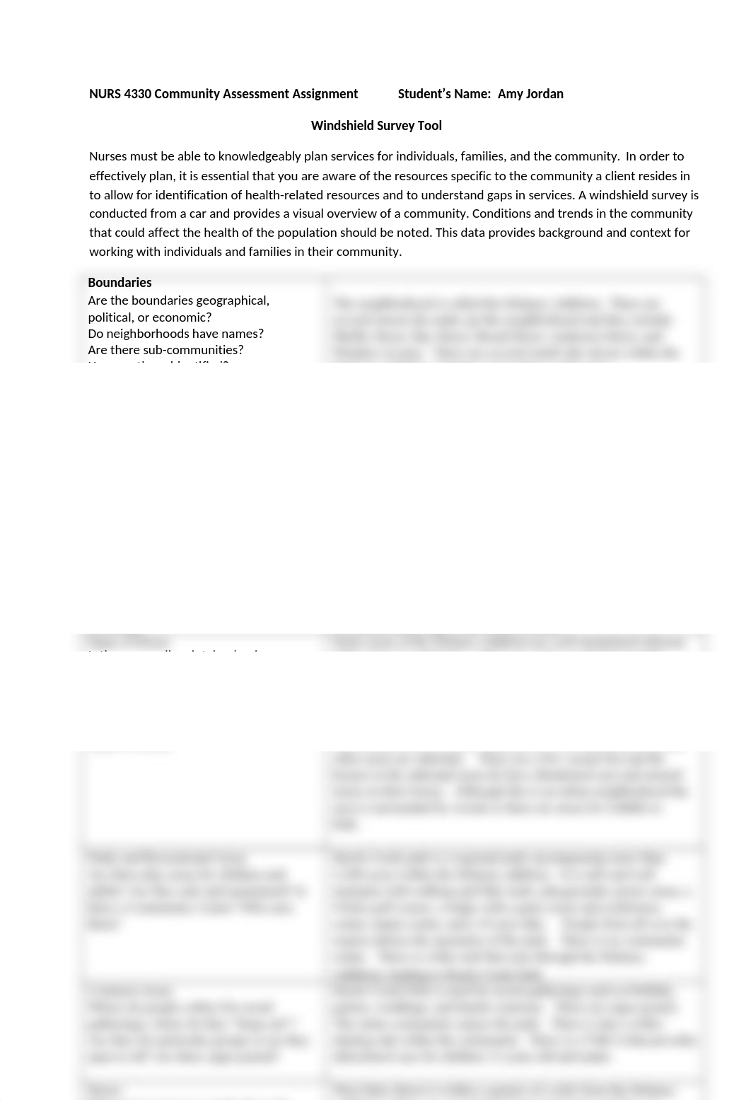 Windshield Survey .doc_d1075fdo7h1_page1