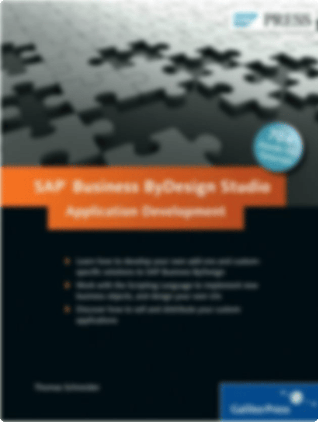 SAP Business ByDesign Studio - Application Development.pdf_d10gwlgozf9_page1