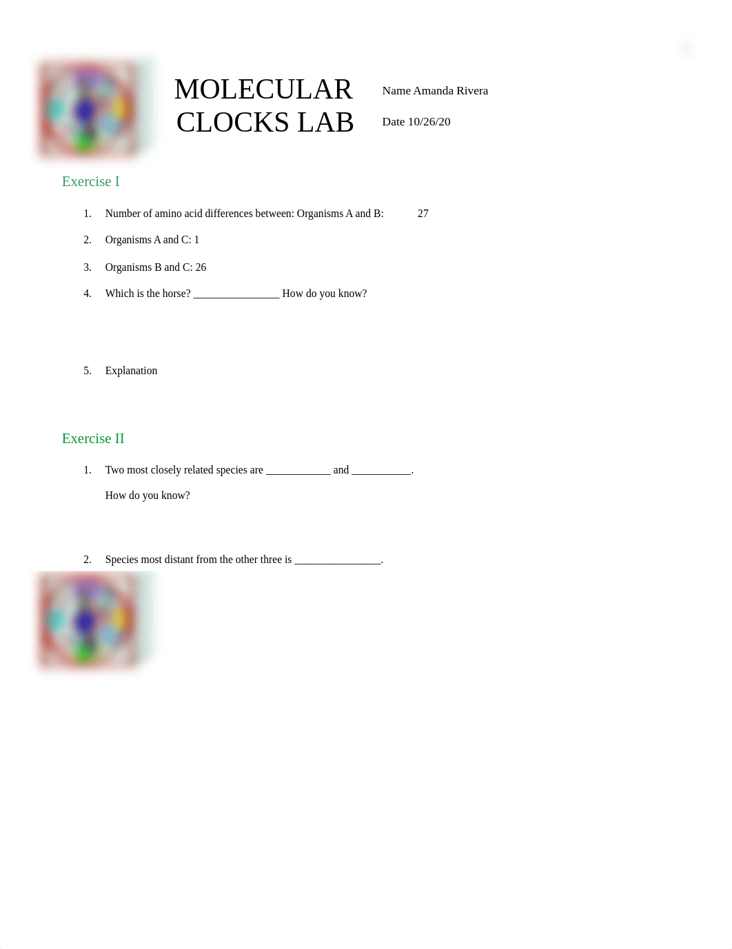 Molecular Clocks Data Sheet (1).docx_d10hdrj9lvk_page1