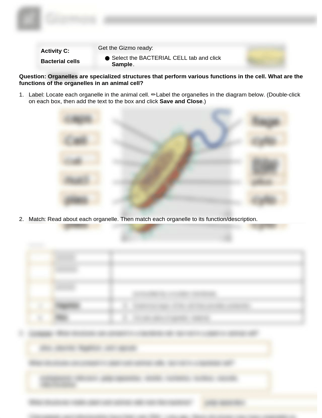 JANIYA NELSON - 2 Activity C Cell Structure Gizmos - 7029922.docx_d10jnfyrqyh_page1