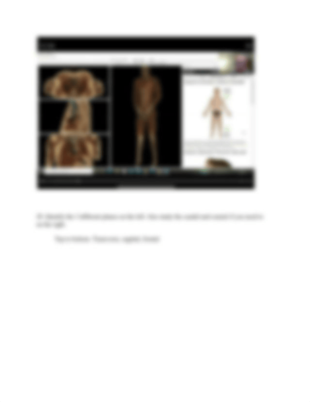 Anatomy Cheat Sheet.pdf_d10tfug8sng_page4