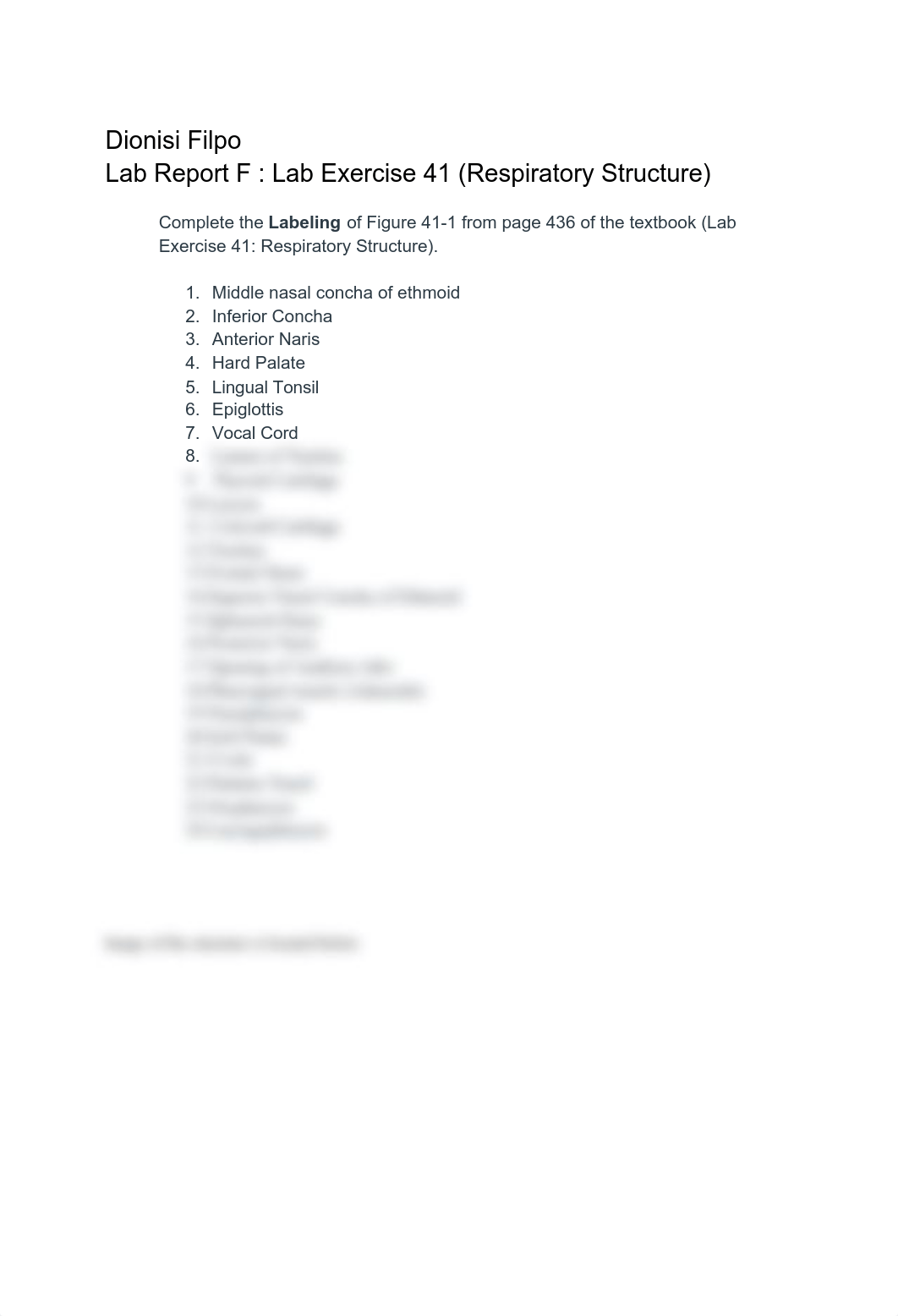 Lab Report F _ Lab Exercise 41 (Respiratory Structure) .pdf_d112m4hffhe_page1