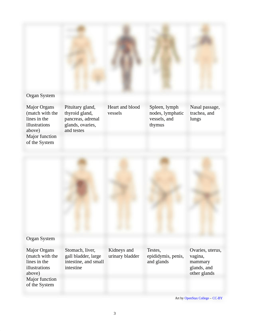 Bio 23-Sections to completed Fall 2020 (1).pdf_d114g908fx3_page3