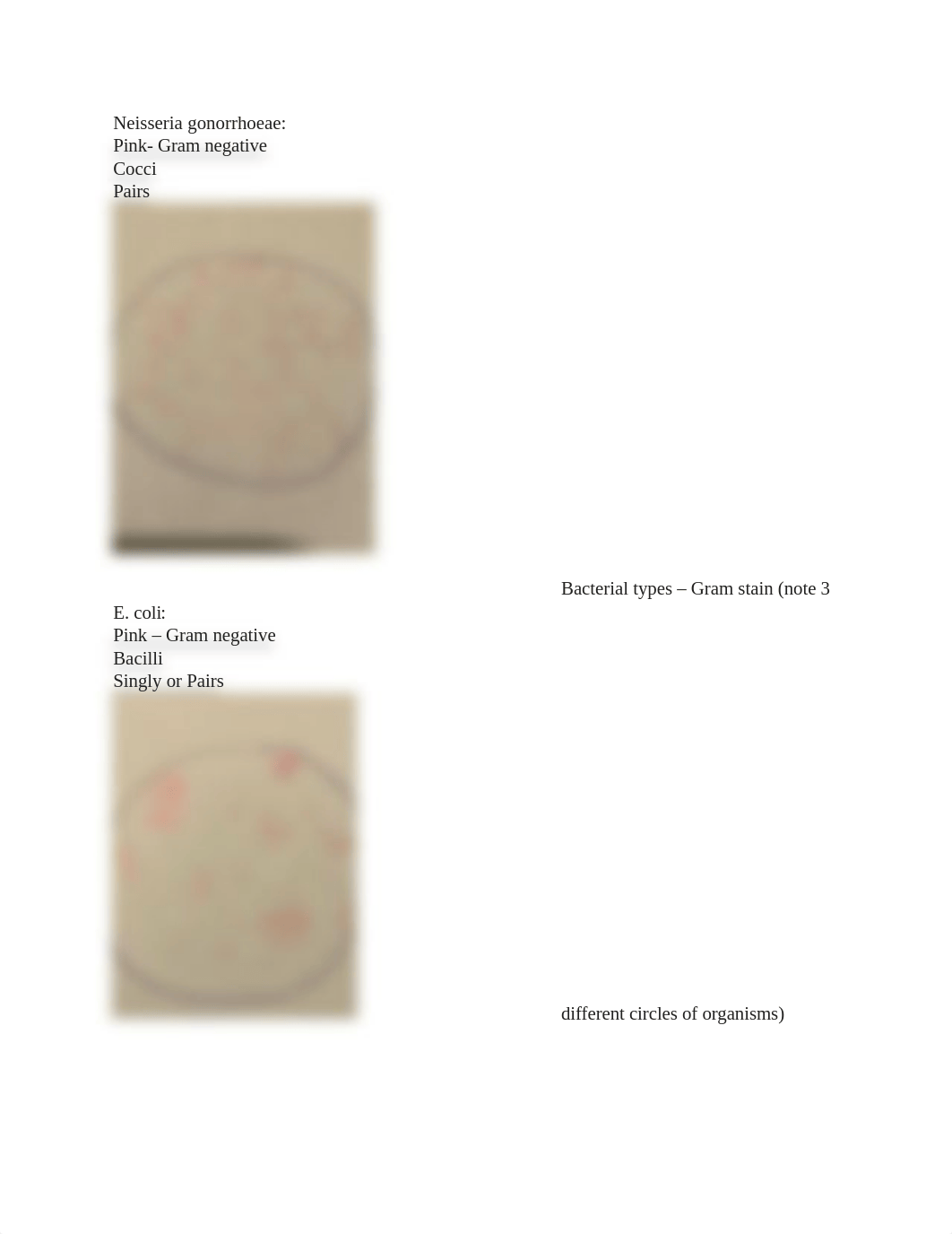 COMPLETE- Lab 7a - Smears-Stains (4).docx_d114pv3i3vs_page2