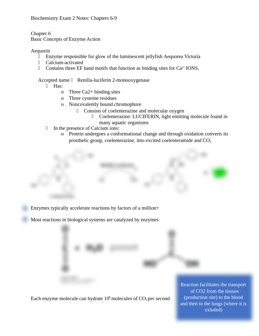 Biochemistry Exam 2 notes 6-9.docx_d11ax8xg0dk_page1