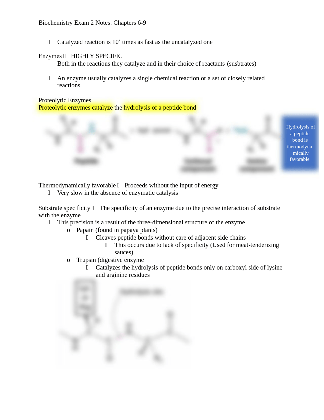 Biochemistry Exam 2 notes 6-9.docx_d11ax8xg0dk_page2