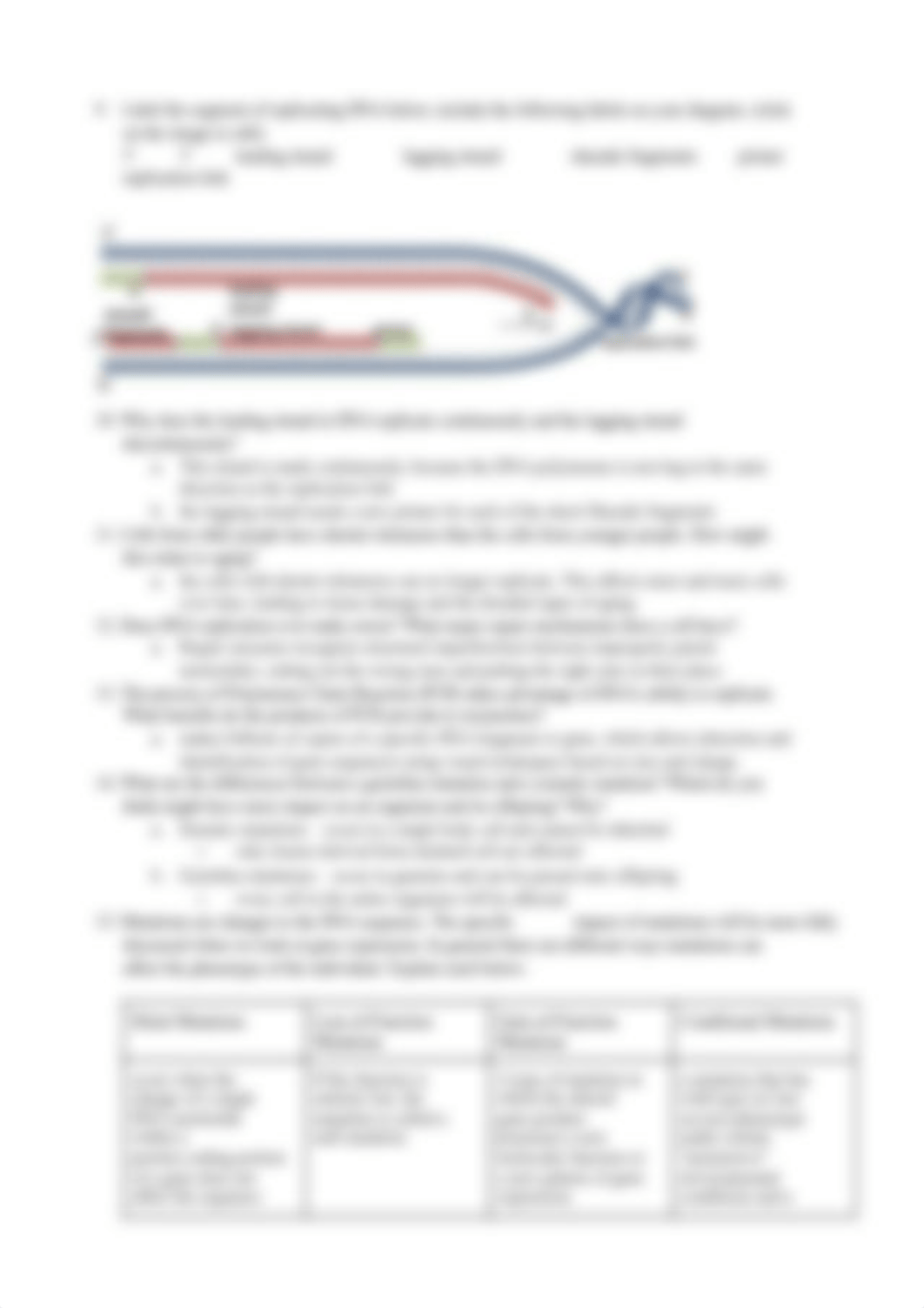 Copy of 3 DNA Structure and Replication. POL Ch9.pdf_d11bl75ttg0_page4