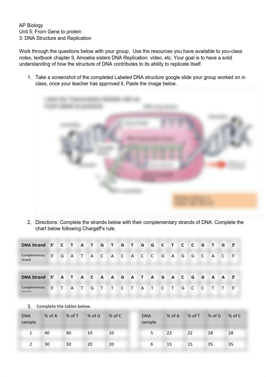 Copy of 3 DNA Structure and Replication. POL Ch9.pdf_d11bl75ttg0_page1