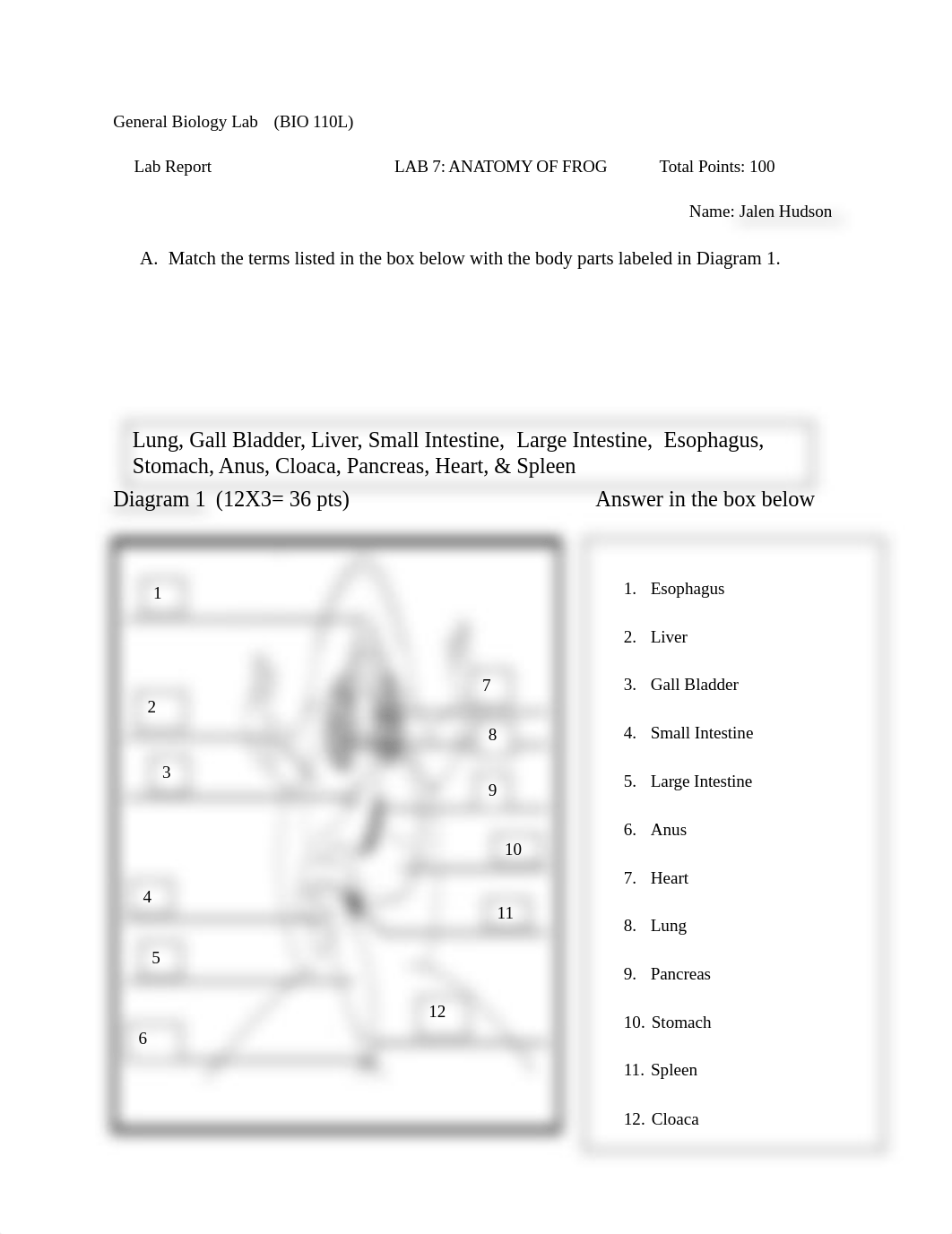 BIO 110L Lab 7 Report.docx_d11h8h4bi2z_page1