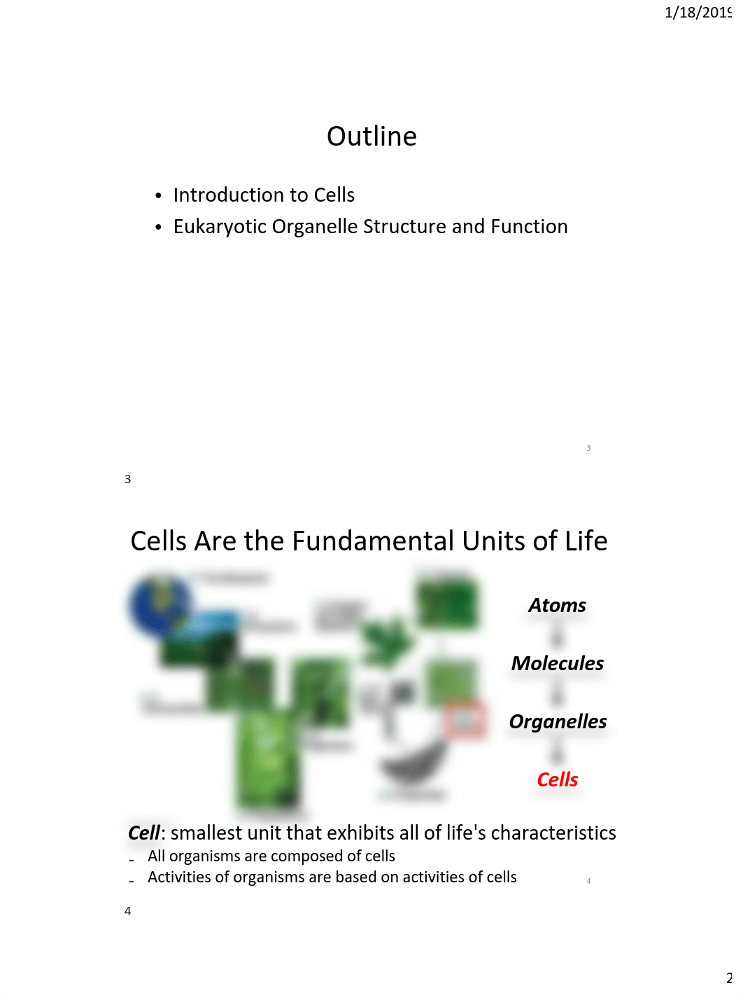 05Lect+Material+-+Cell+Structure+&+Function+-+Organelles+and+Membranes.pdf_d11hafwx6hx_page2