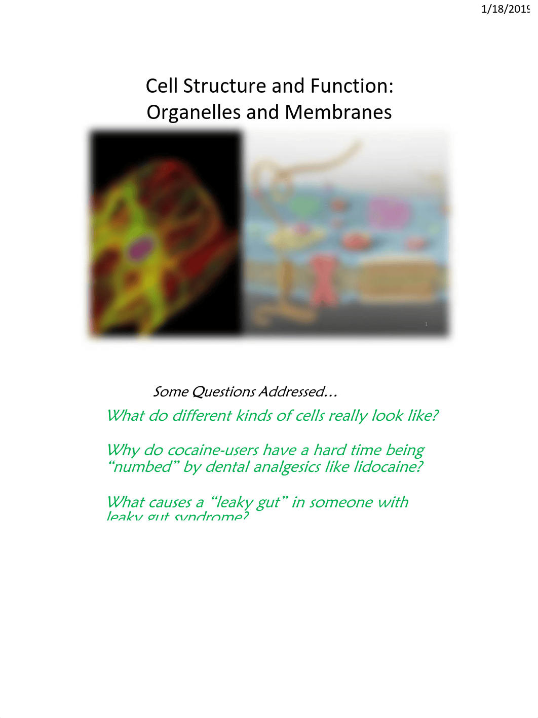 05Lect+Material+-+Cell+Structure+&+Function+-+Organelles+and+Membranes.pdf_d11hafwx6hx_page1