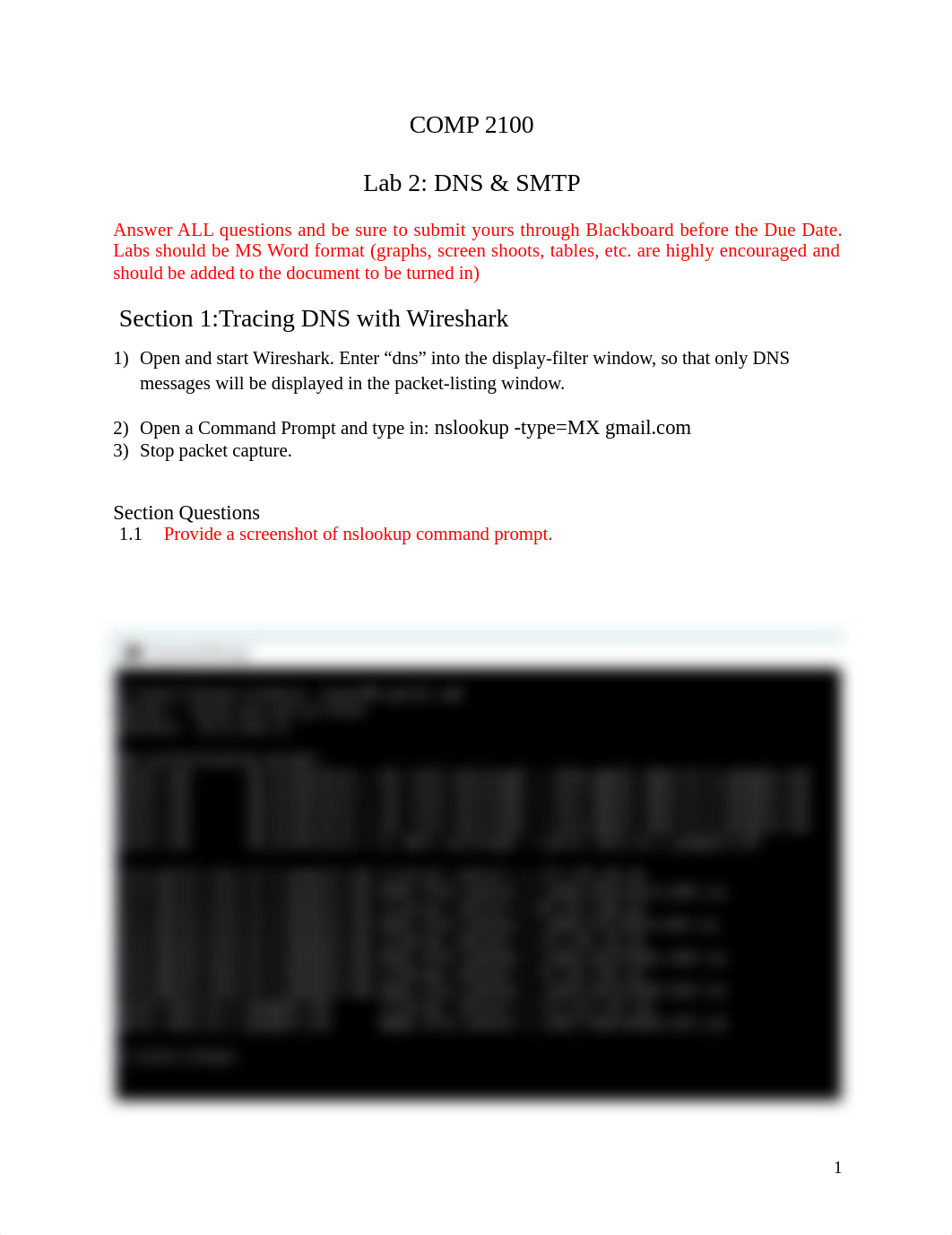 COMP2100_Lab2_DNS_SMTP.docx_d11jsxq2njq_page1