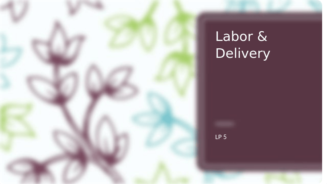 LP 5 Labor & Delivery.pptx_d11m8dtjdfp_page1