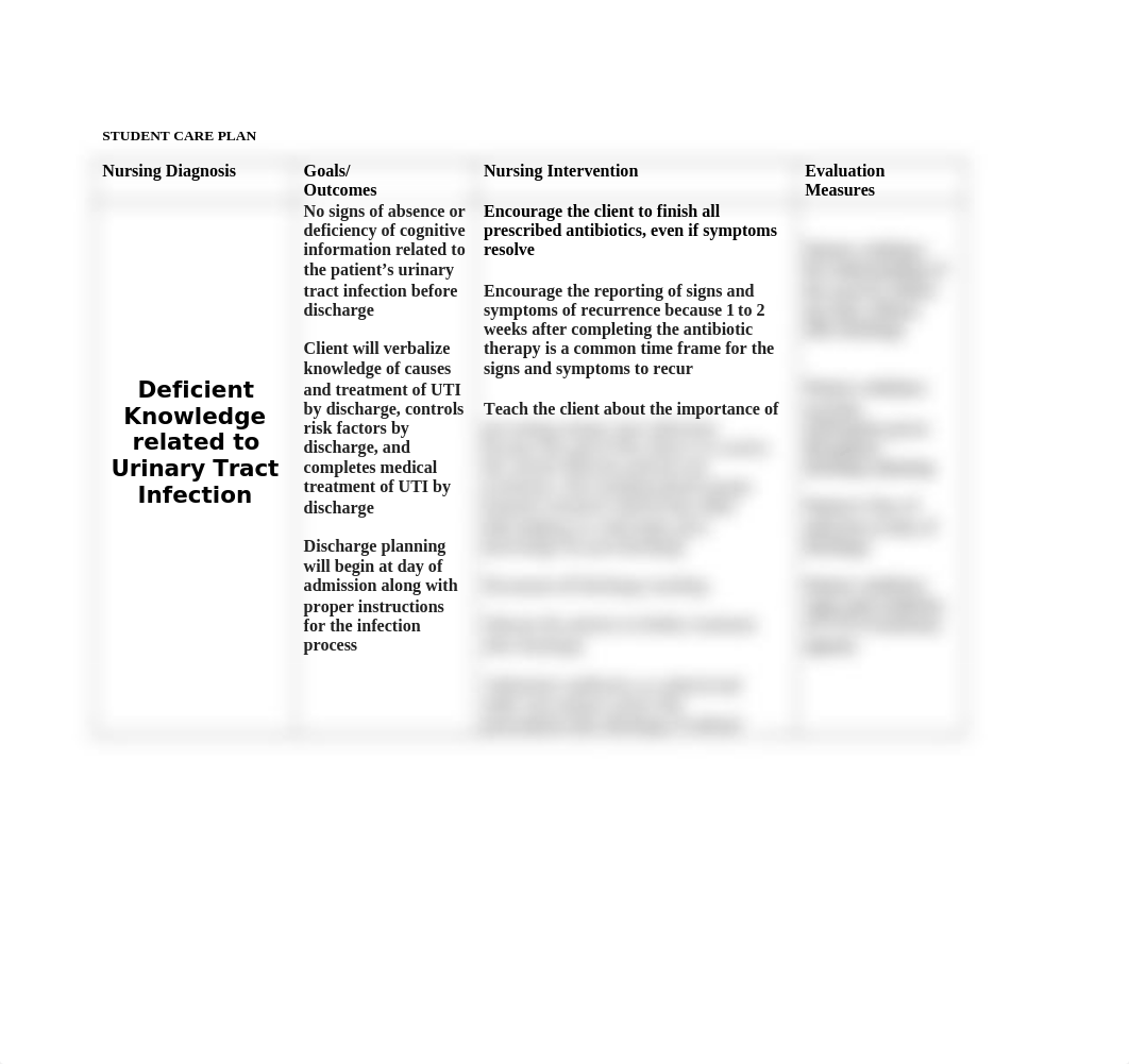 UTI Care Plan #3.doc_d11s1qsm3kv_page1