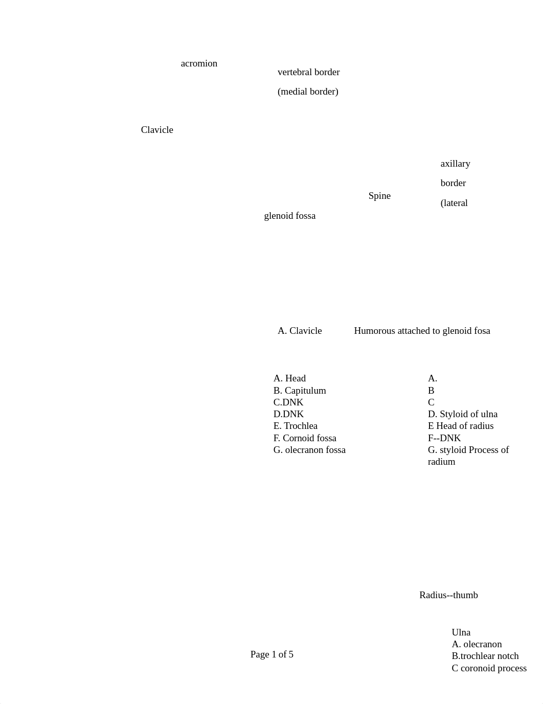 2. Lab exam 2 review appendicular skeleton.docx_d11sfizwelt_page1