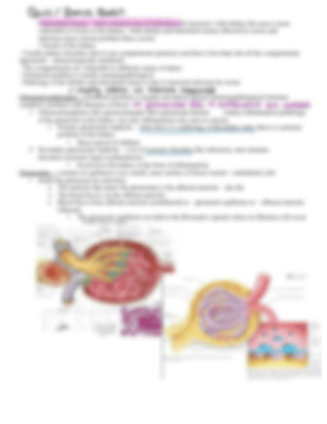 Pathology II - Midterm Notes(1).pdf_d11x0qsam65_page2