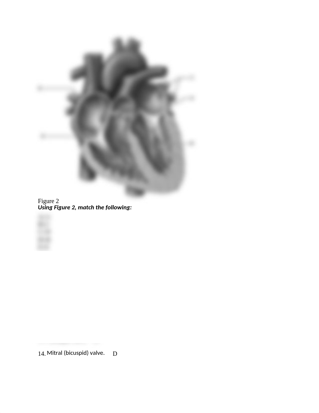 BIOL 2402  KEY EXAM 1 (3).docx_d120glnlbsj_page3