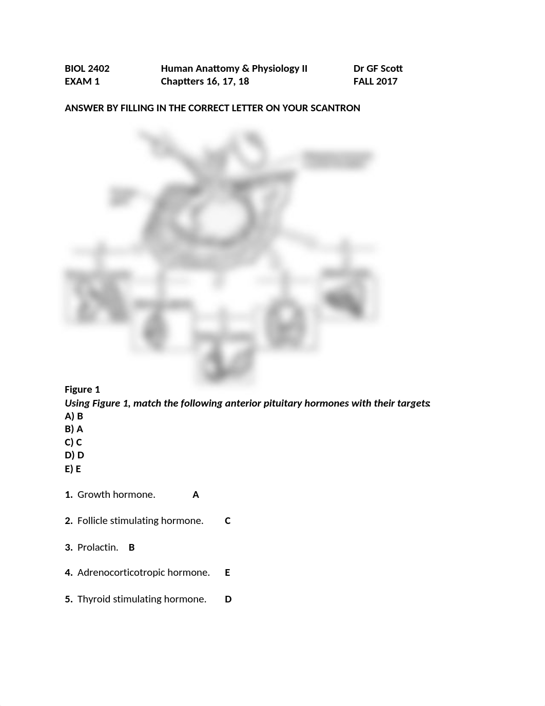 BIOL 2402  KEY EXAM 1 (3).docx_d120glnlbsj_page1