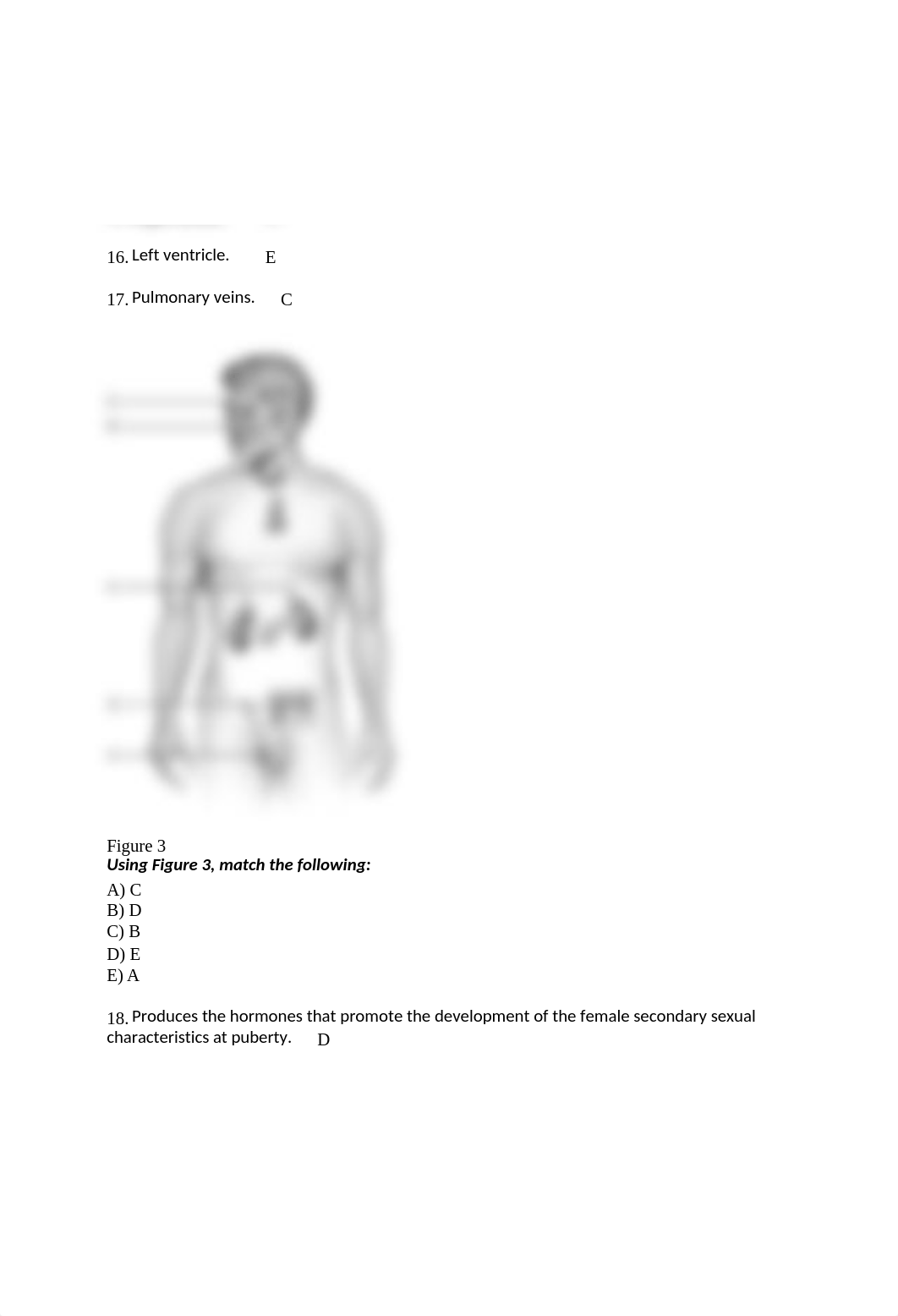 BIOL 2402  KEY EXAM 1 (3).docx_d120glnlbsj_page4