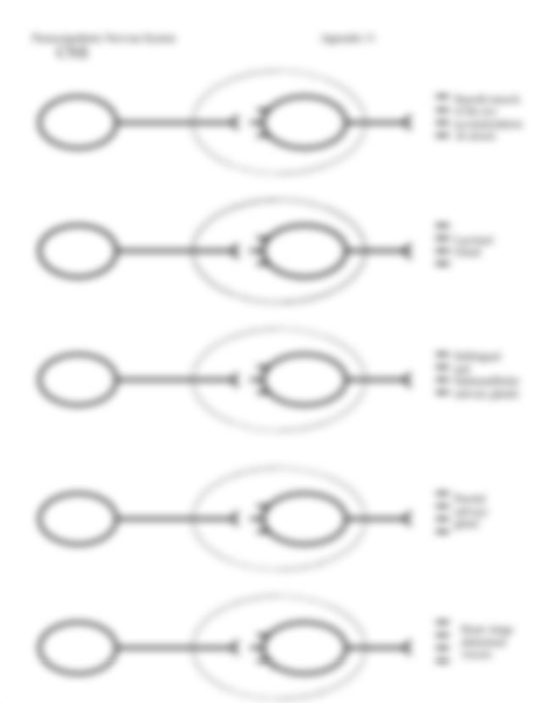 Concept Map for Nervous System.pdf_d12317hb798_page2