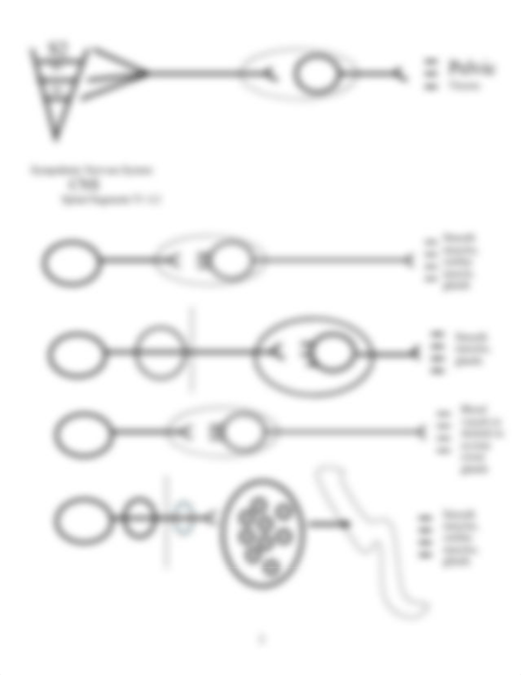 Concept Map for Nervous System.pdf_d12317hb798_page3